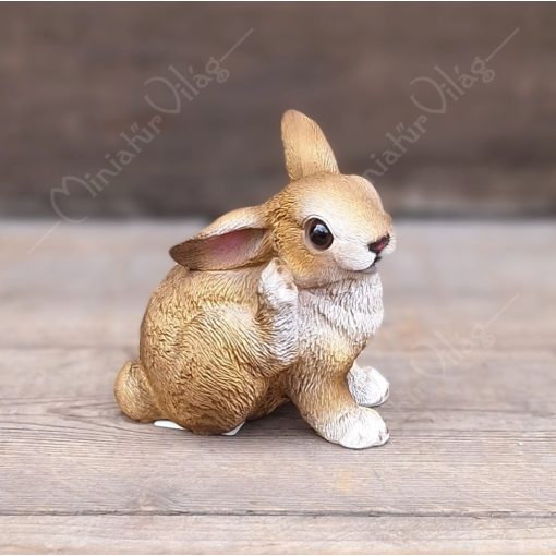 Nyúl, Nyuszi Figura