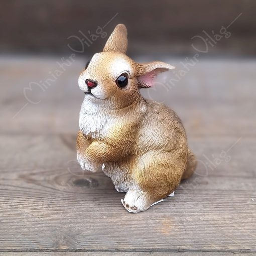 Nyúl, Nyuszi Figura