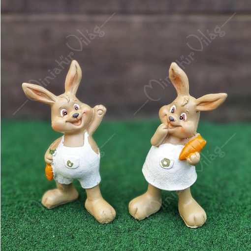 Nyúl, Nyuszi Figura