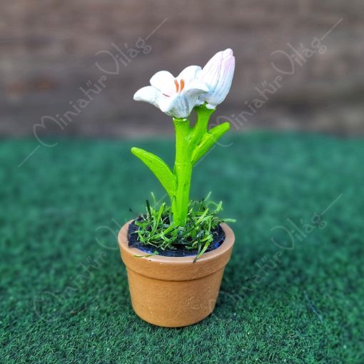 Minifalu - Virág 