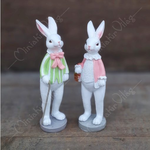 Nyúl, Nyuszi Figura