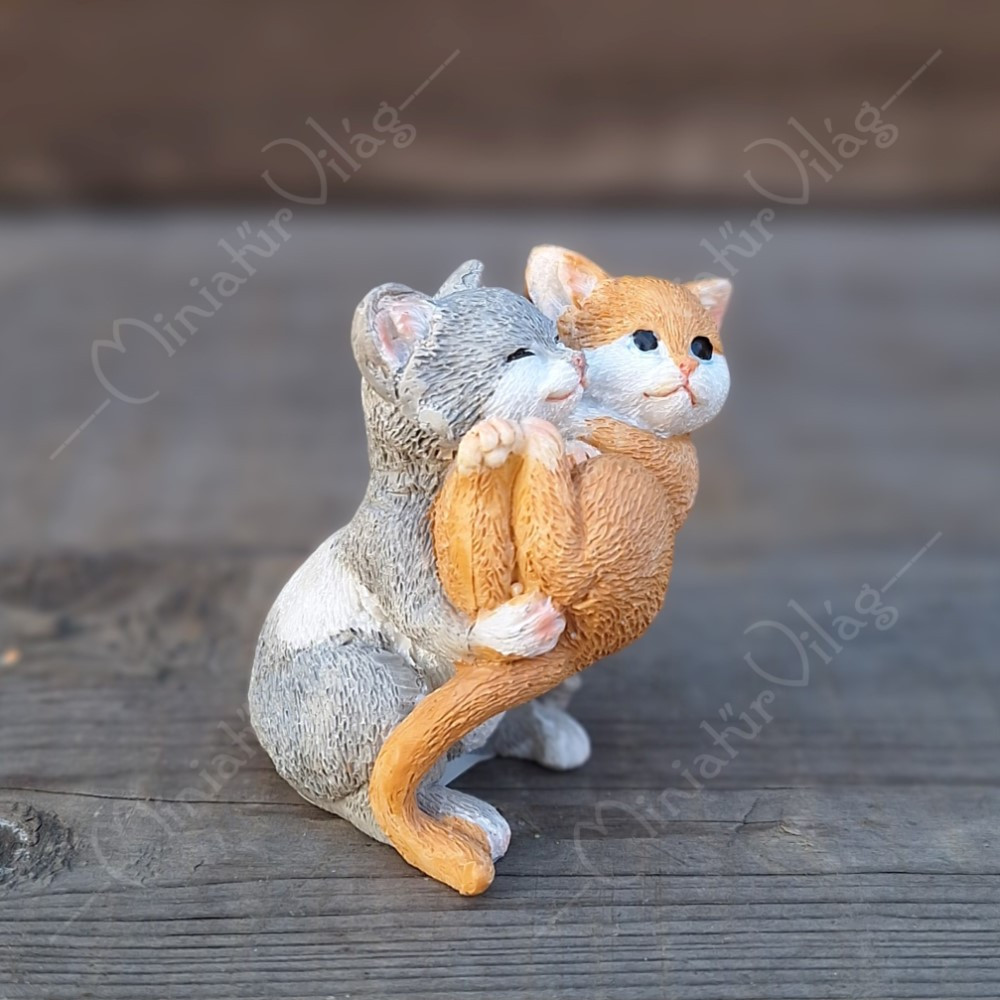 Cica, Macska Figura